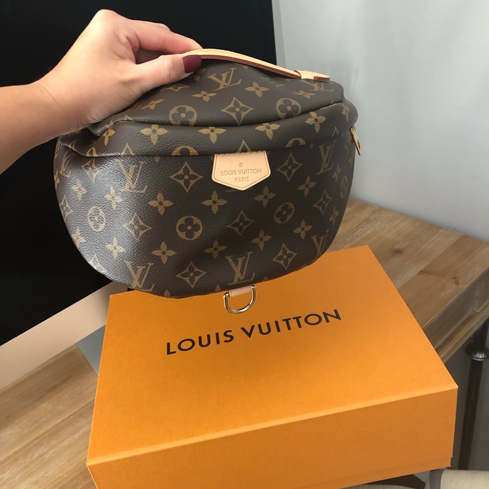 Louis Vuitton Bumbag - Picture 4 of 6